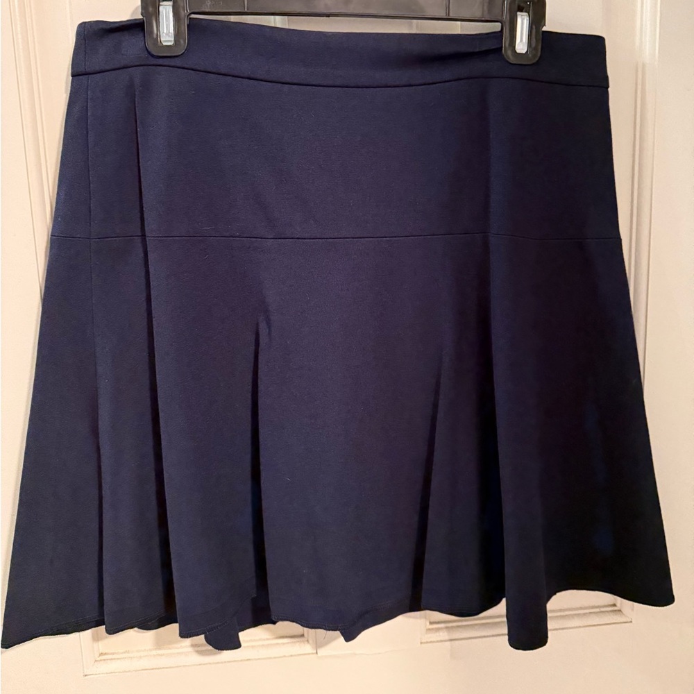 Banana Republic Navy Blue Skirt